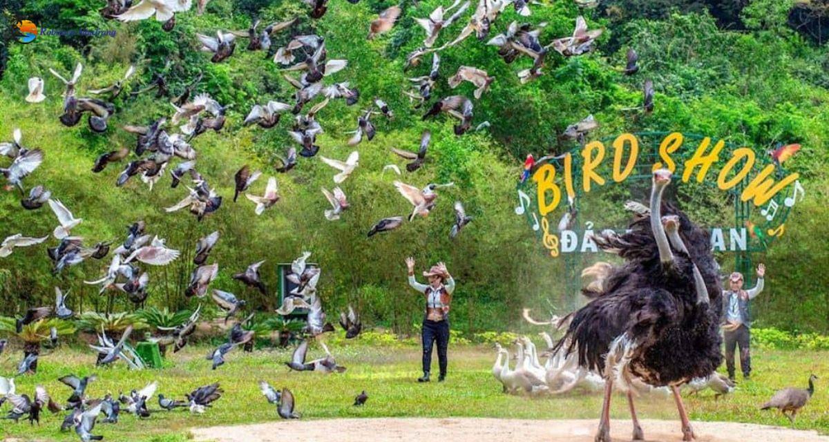 Tour 1 Ngày Nha Trang