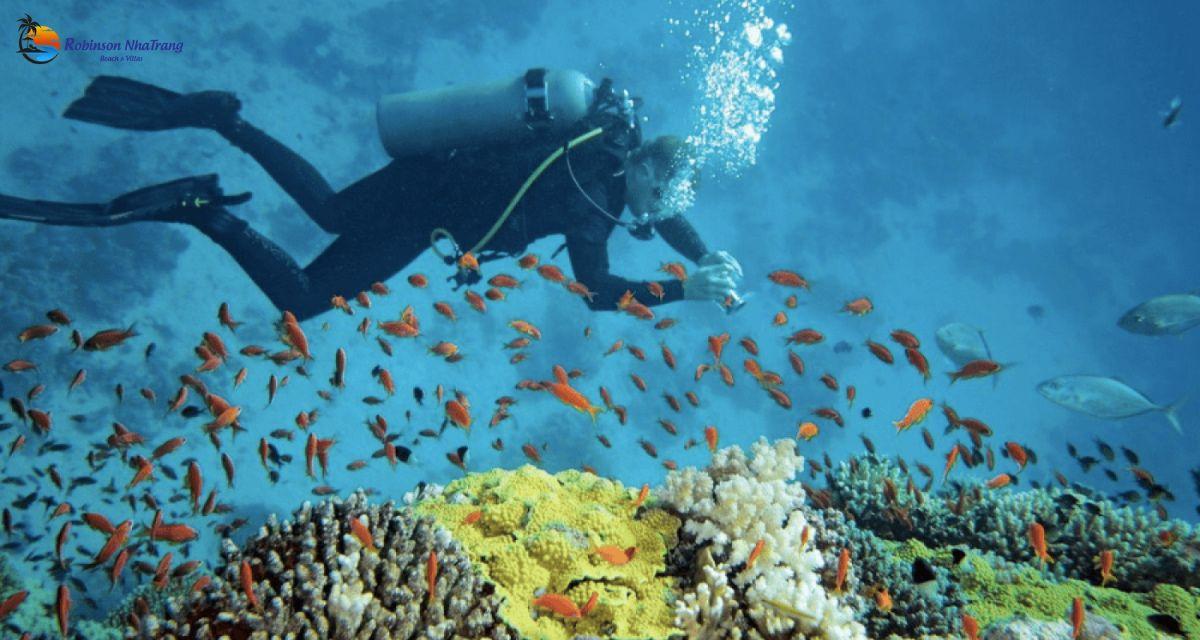Trò Chơi Trên Biển Nha Trang